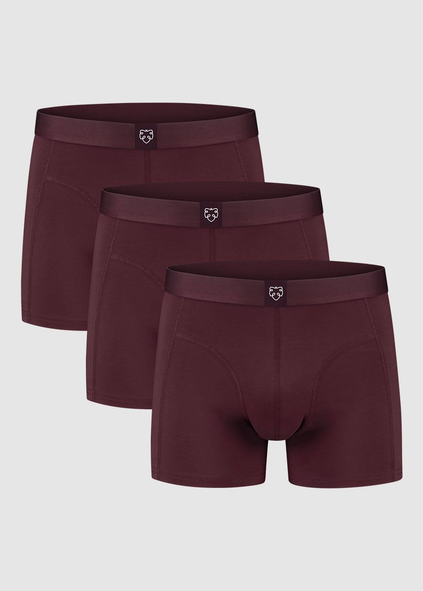 3x Boxer Brief