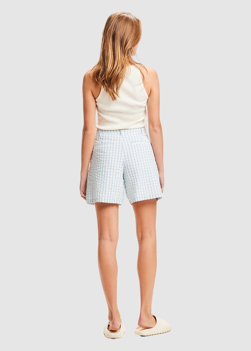 Pleated Seersucker Check Shorts