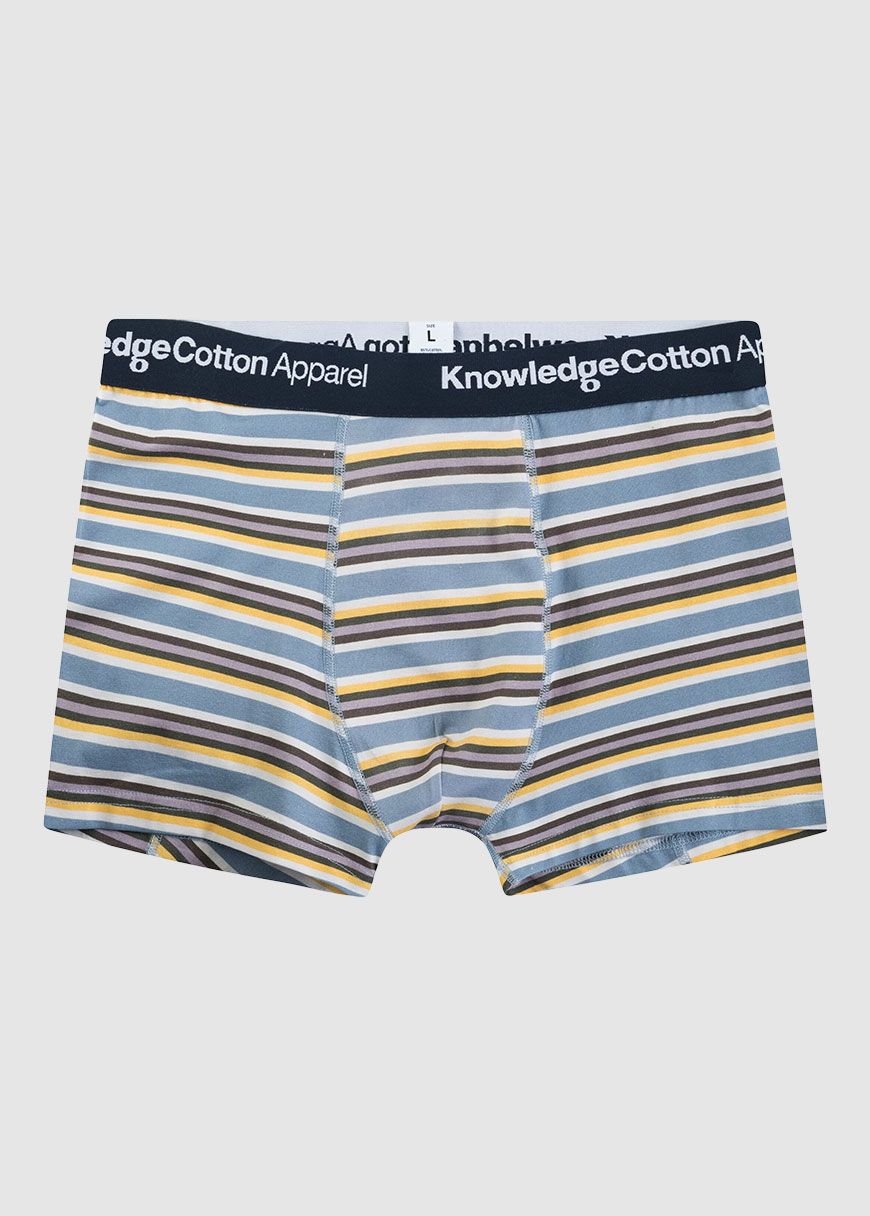 2 Pack Striped Underwear